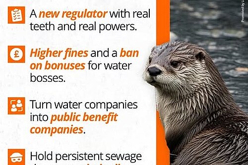 sewage 4